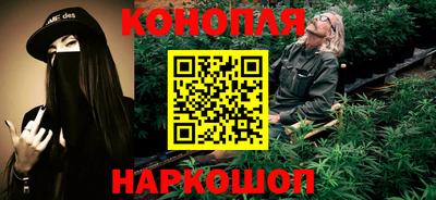 индика Моздок