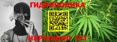 индика Моздок