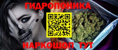 индика Моздок
