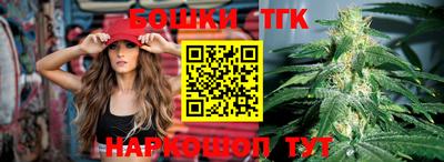 индика Моздок