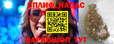 индика Моздок