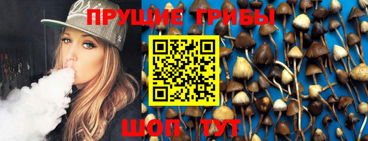 Псилоцибиновые грибы ЛСД Дедовск