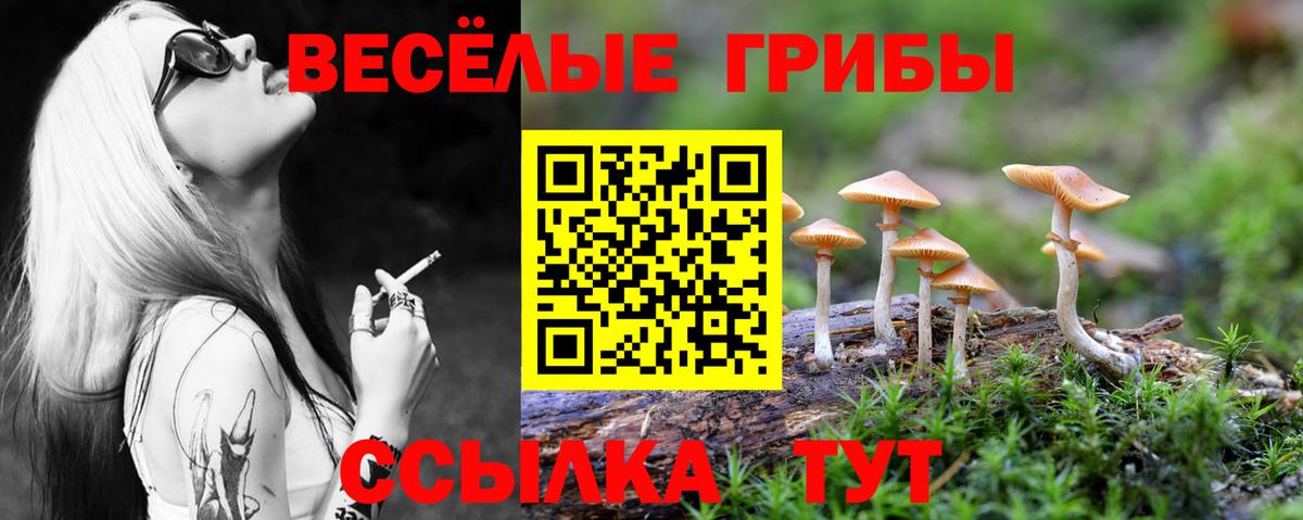 Псилоцибиновые грибы Magic Shrooms  Вход с VPN  Дедовск 